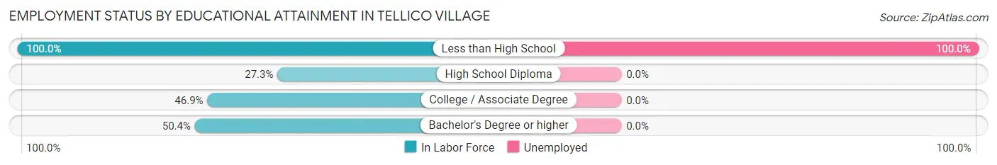 Employment Status by Educational Attainment in Tellico Village