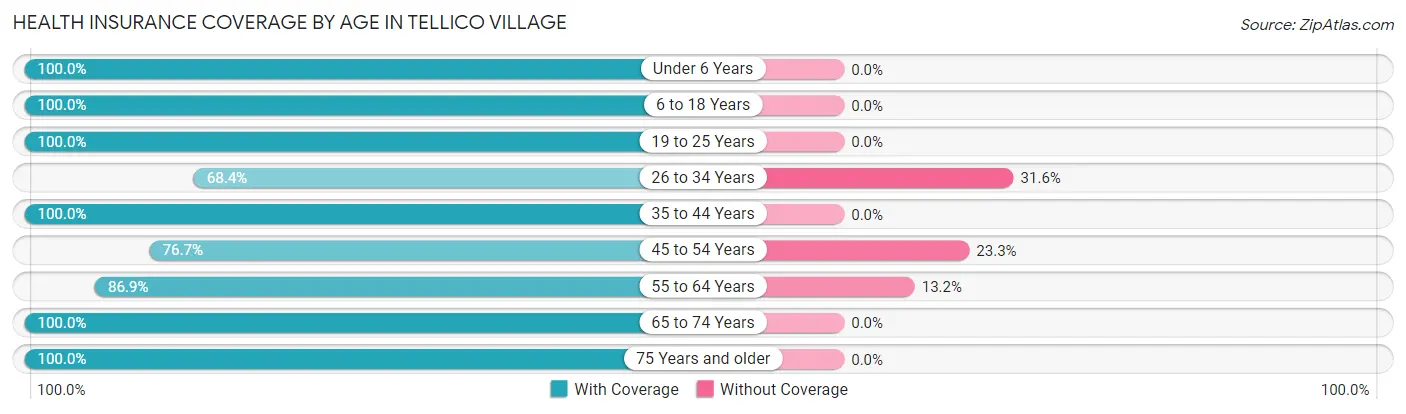Health Insurance Coverage by Age in Tellico Village