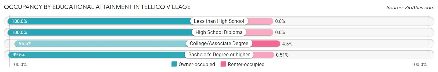 Occupancy by Educational Attainment in Tellico Village