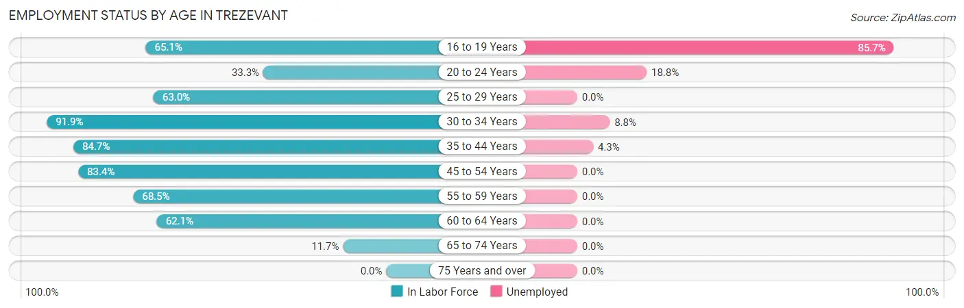 Employment Status by Age in Trezevant