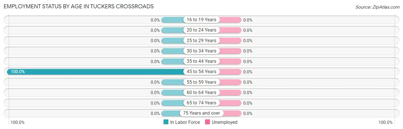 Employment Status by Age in Tuckers Crossroads