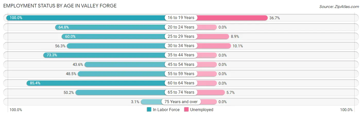 Employment Status by Age in Valley Forge