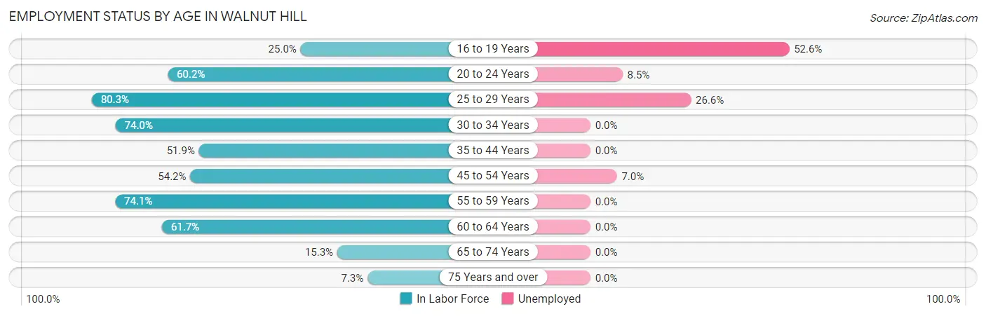 Employment Status by Age in Walnut Hill