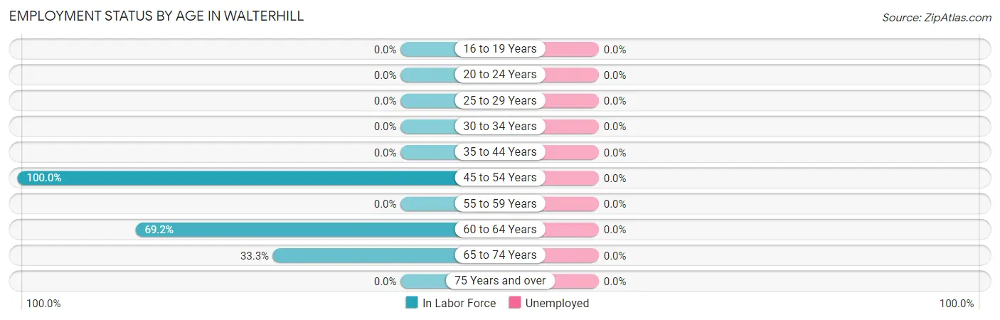 Employment Status by Age in Walterhill