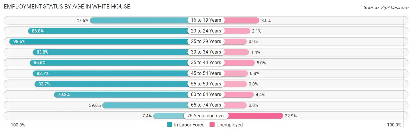 Employment Status by Age in White House
