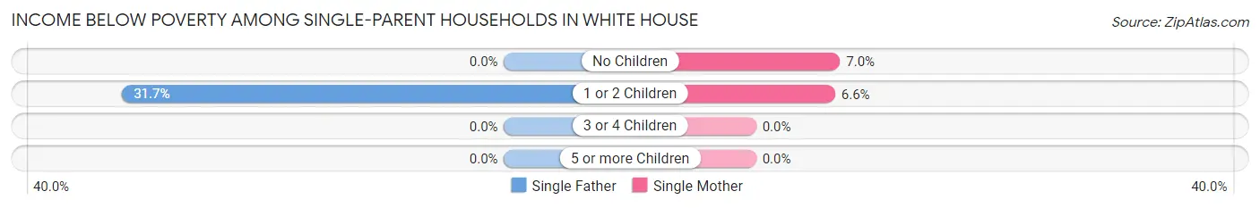 Income Below Poverty Among Single-Parent Households in White House