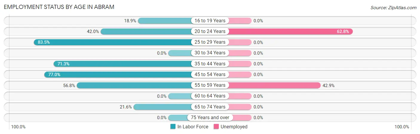 Employment Status by Age in Abram