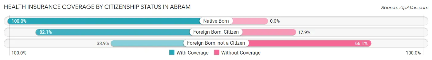 Health Insurance Coverage by Citizenship Status in Abram