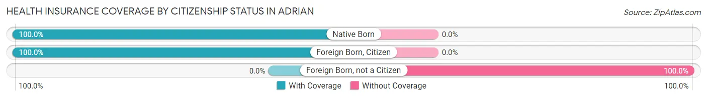 Health Insurance Coverage by Citizenship Status in Adrian