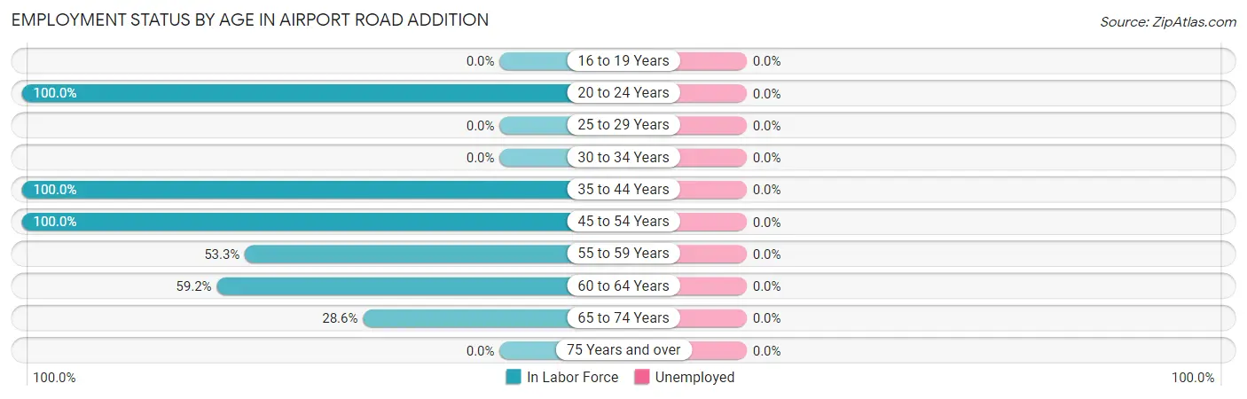 Employment Status by Age in Airport Road Addition