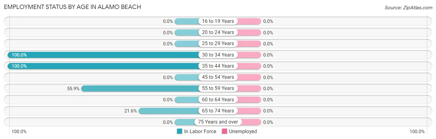 Employment Status by Age in Alamo Beach