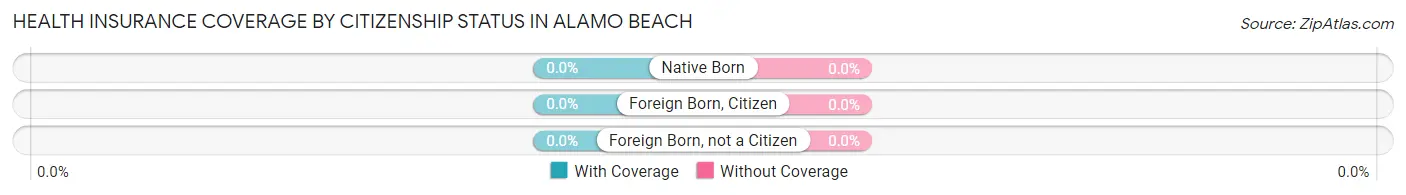 Health Insurance Coverage by Citizenship Status in Alamo Beach