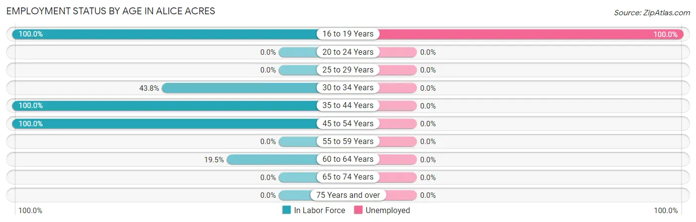 Employment Status by Age in Alice Acres