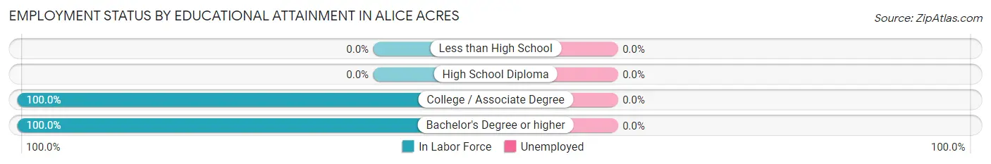 Employment Status by Educational Attainment in Alice Acres