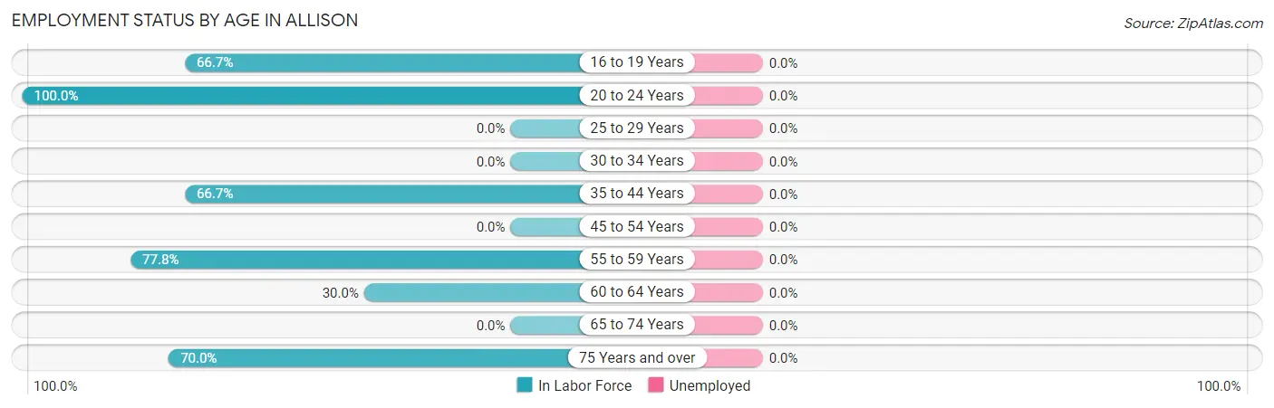 Employment Status by Age in Allison