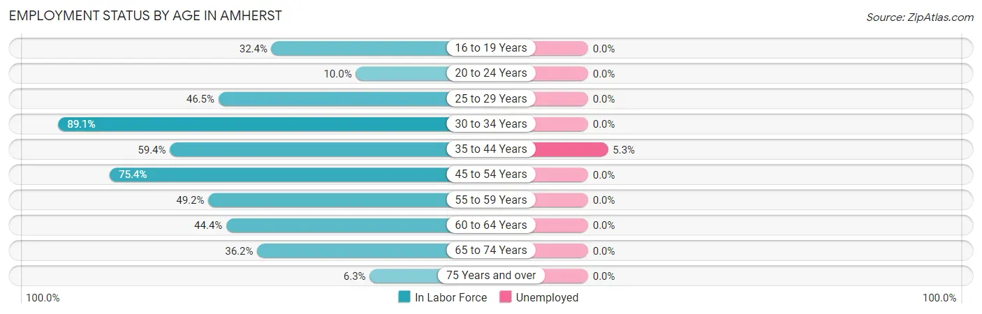 Employment Status by Age in Amherst