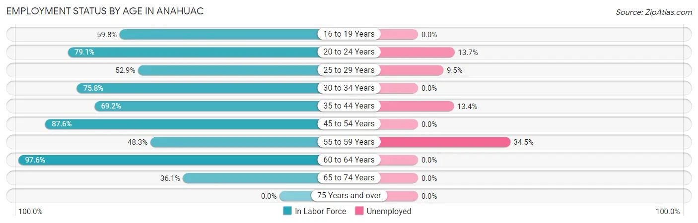 Employment Status by Age in Anahuac