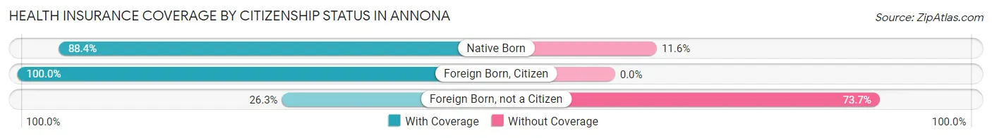 Health Insurance Coverage by Citizenship Status in Annona