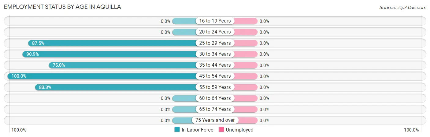 Employment Status by Age in Aquilla