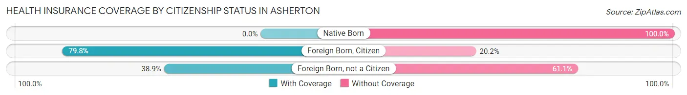 Health Insurance Coverage by Citizenship Status in Asherton