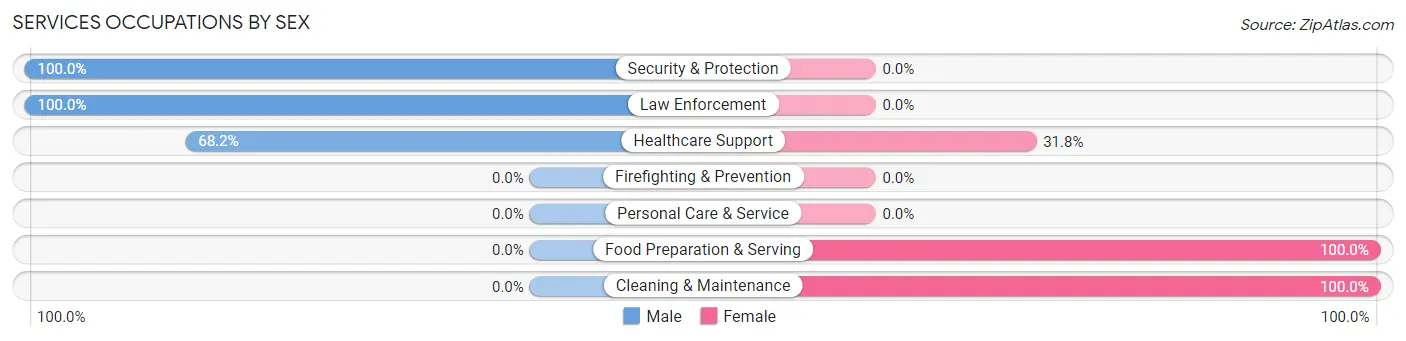 Services Occupations by Sex in Balmorhea