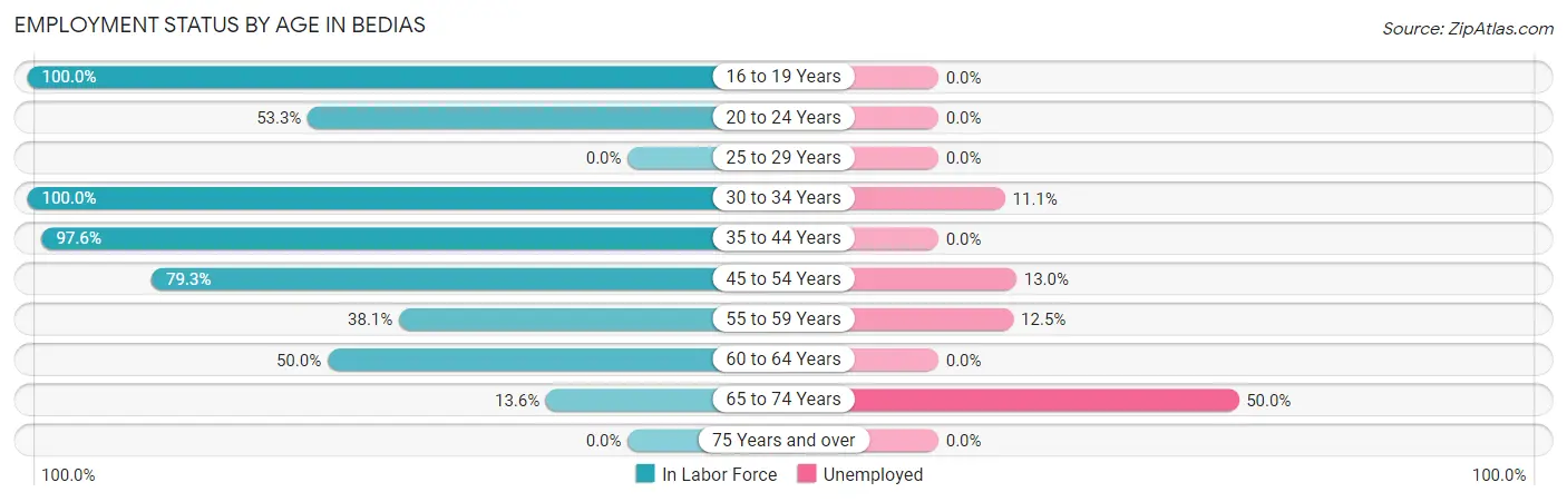 Employment Status by Age in Bedias