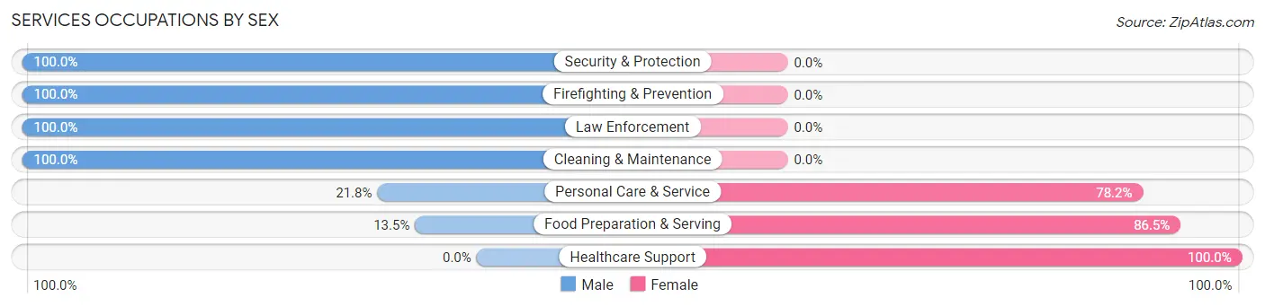 Services Occupations by Sex in Belterra