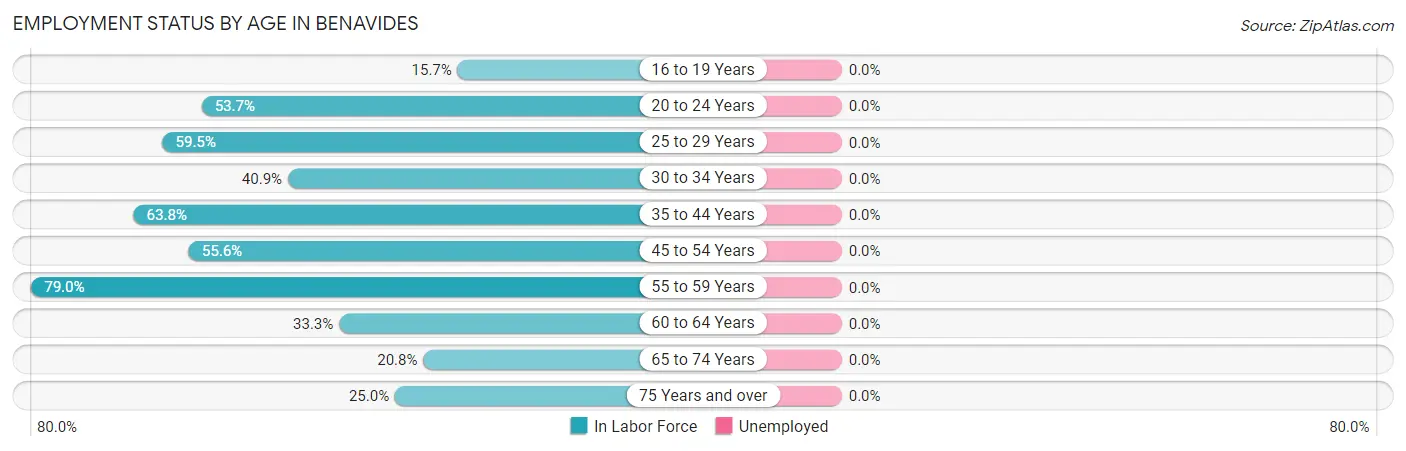 Employment Status by Age in Benavides