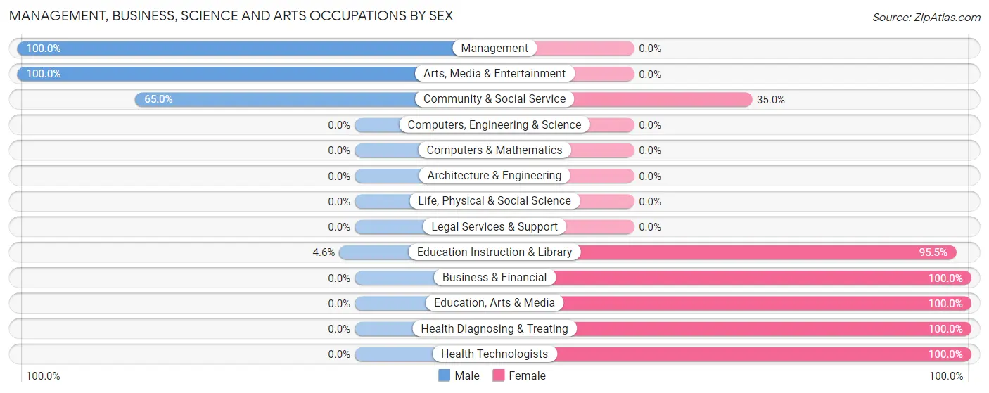 Management, Business, Science and Arts Occupations by Sex in Benavides