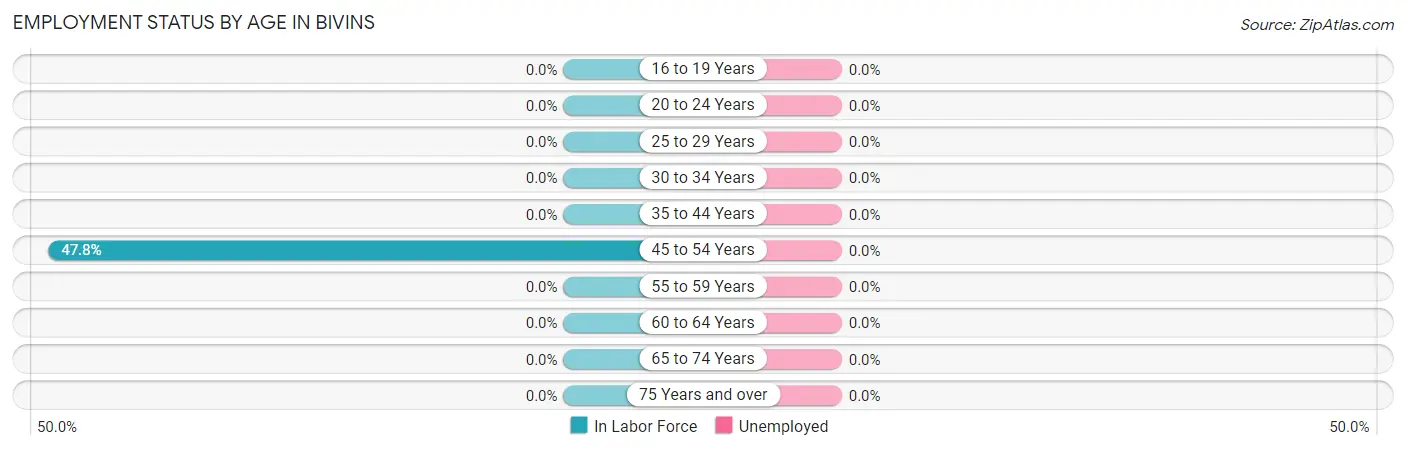 Employment Status by Age in Bivins