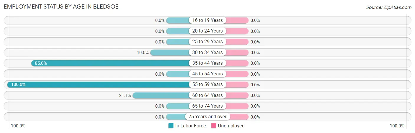 Employment Status by Age in Bledsoe