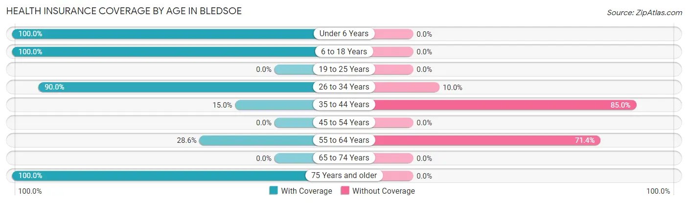Health Insurance Coverage by Age in Bledsoe