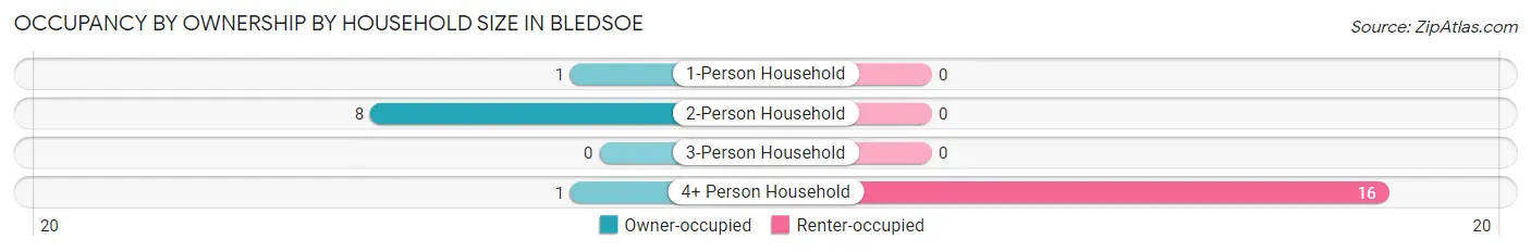 Occupancy by Ownership by Household Size in Bledsoe