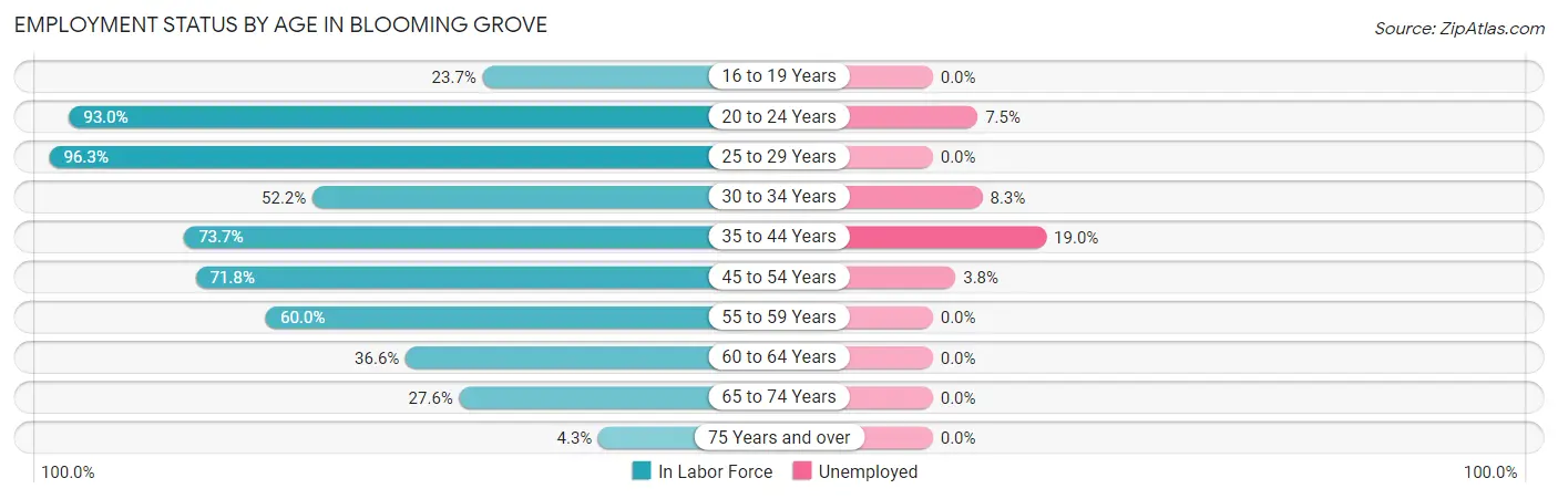 Employment Status by Age in Blooming Grove