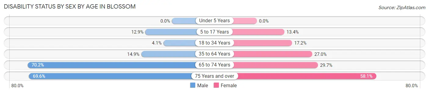 Disability Status by Sex by Age in Blossom