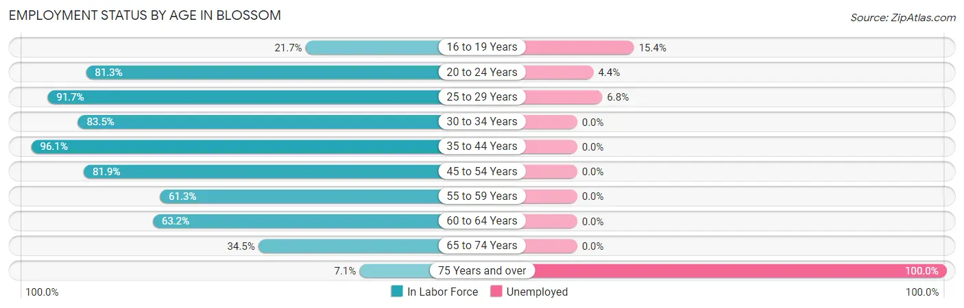 Employment Status by Age in Blossom