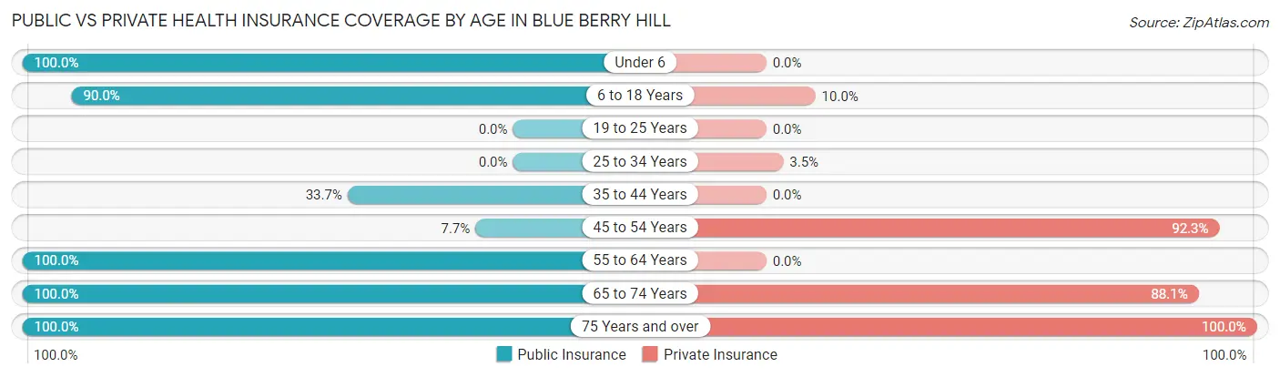 Public vs Private Health Insurance Coverage by Age in Blue Berry Hill