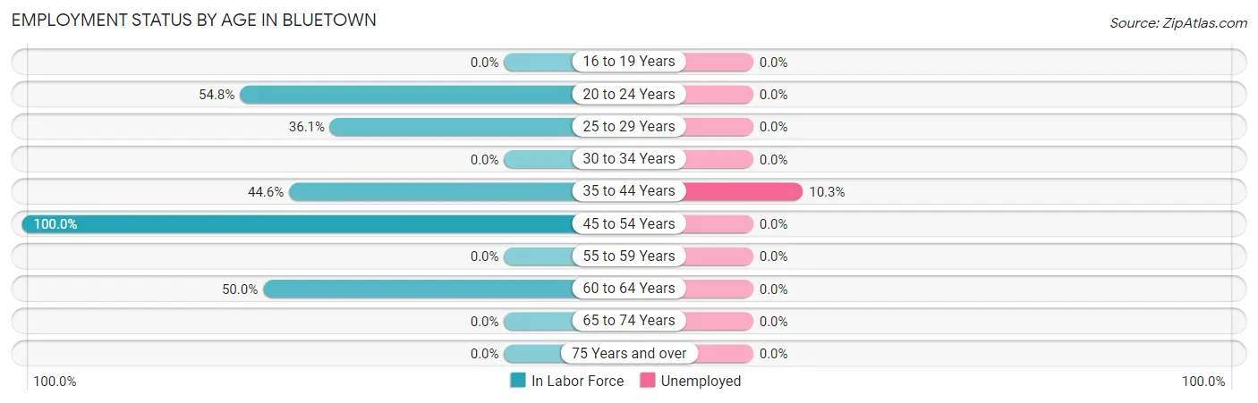 Employment Status by Age in Bluetown