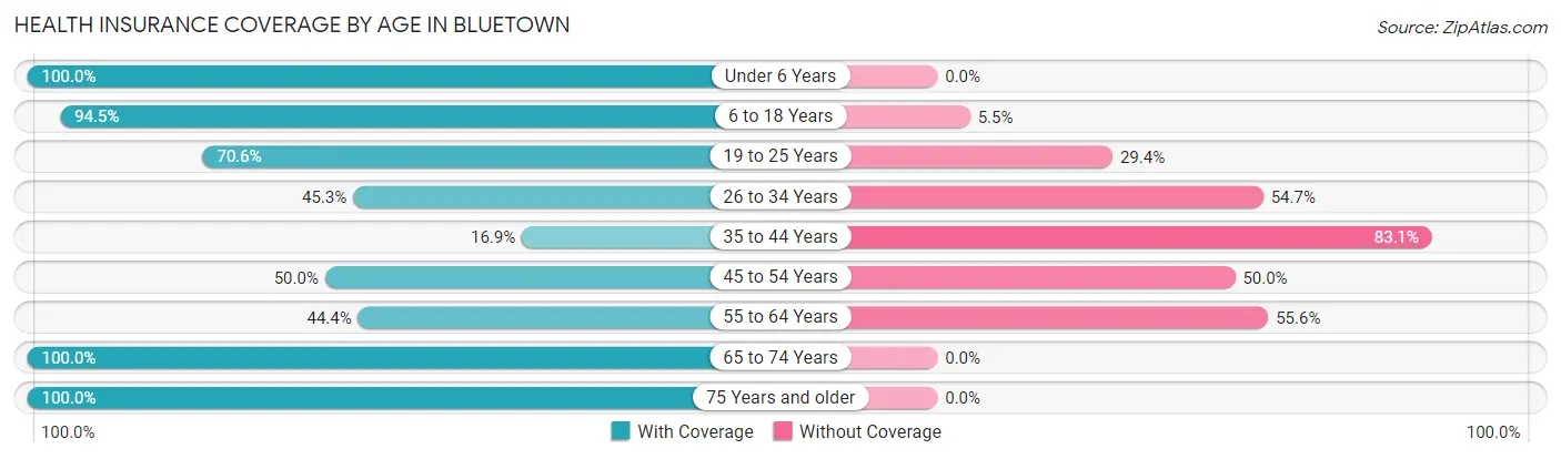 Health Insurance Coverage by Age in Bluetown