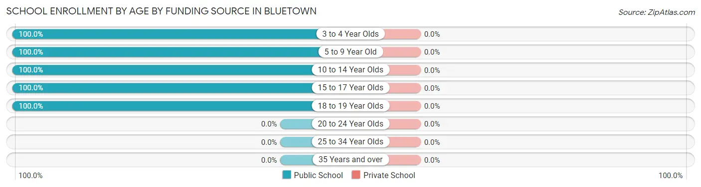 School Enrollment by Age by Funding Source in Bluetown