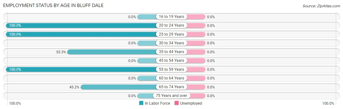 Employment Status by Age in Bluff Dale
