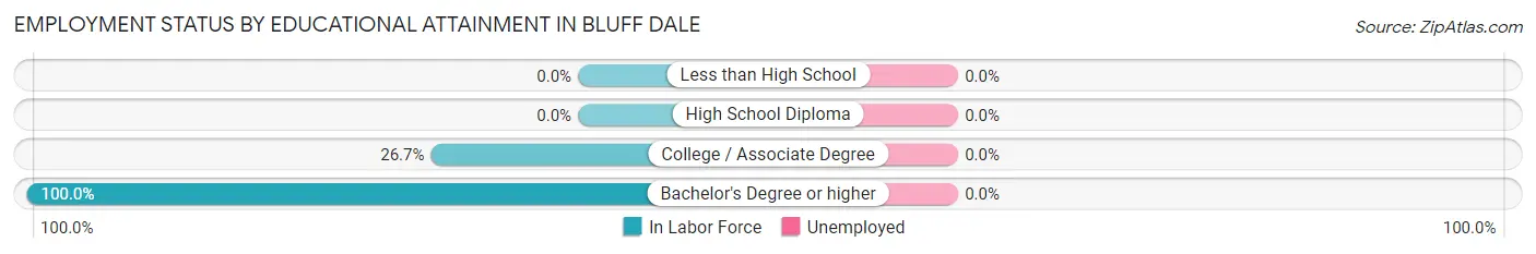 Employment Status by Educational Attainment in Bluff Dale