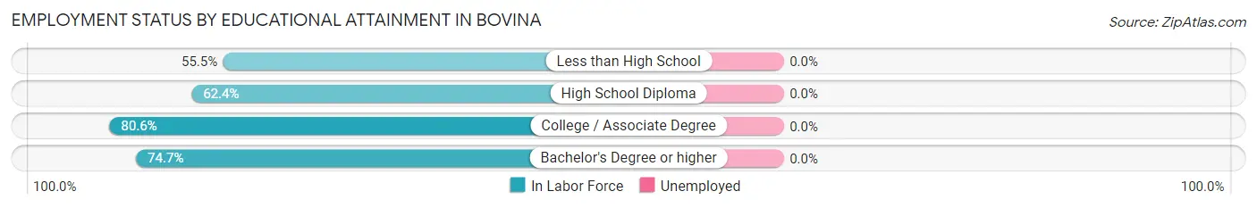 Employment Status by Educational Attainment in Bovina