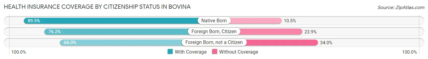Health Insurance Coverage by Citizenship Status in Bovina
