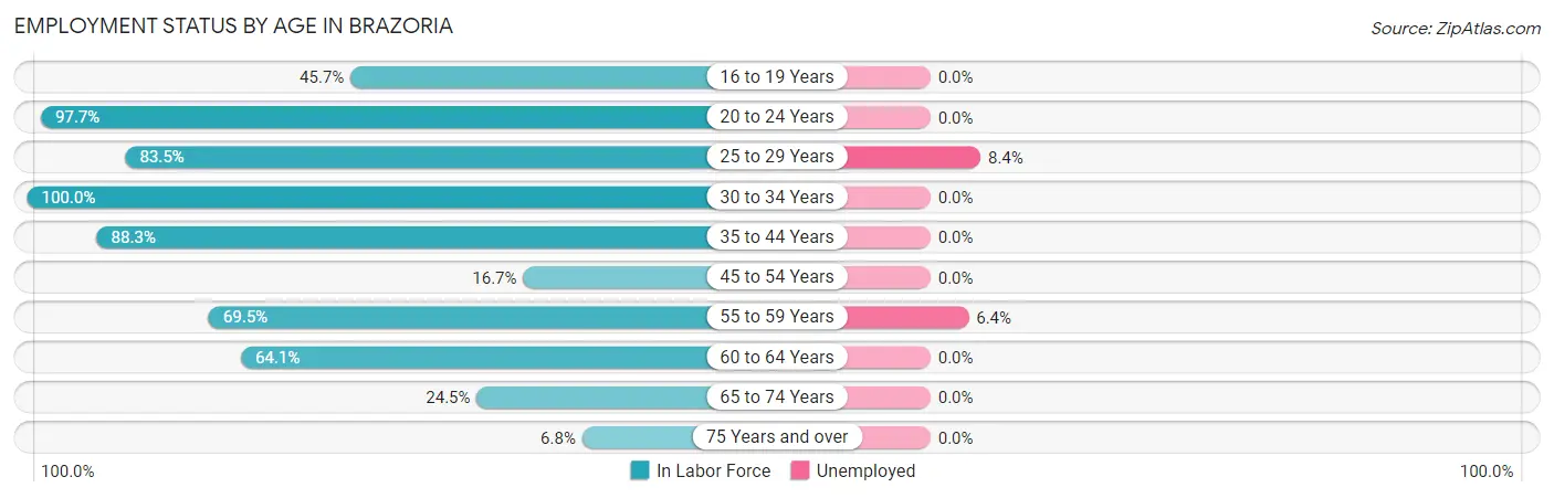 Employment Status by Age in Brazoria
