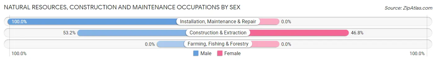 Natural Resources, Construction and Maintenance Occupations by Sex in Brazoria