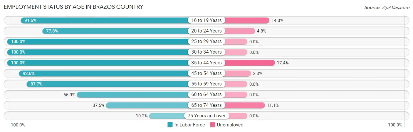 Employment Status by Age in Brazos Country