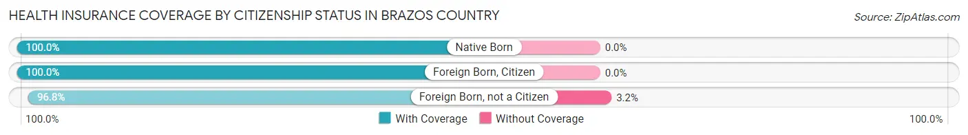Health Insurance Coverage by Citizenship Status in Brazos Country