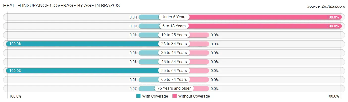 Health Insurance Coverage by Age in Brazos
