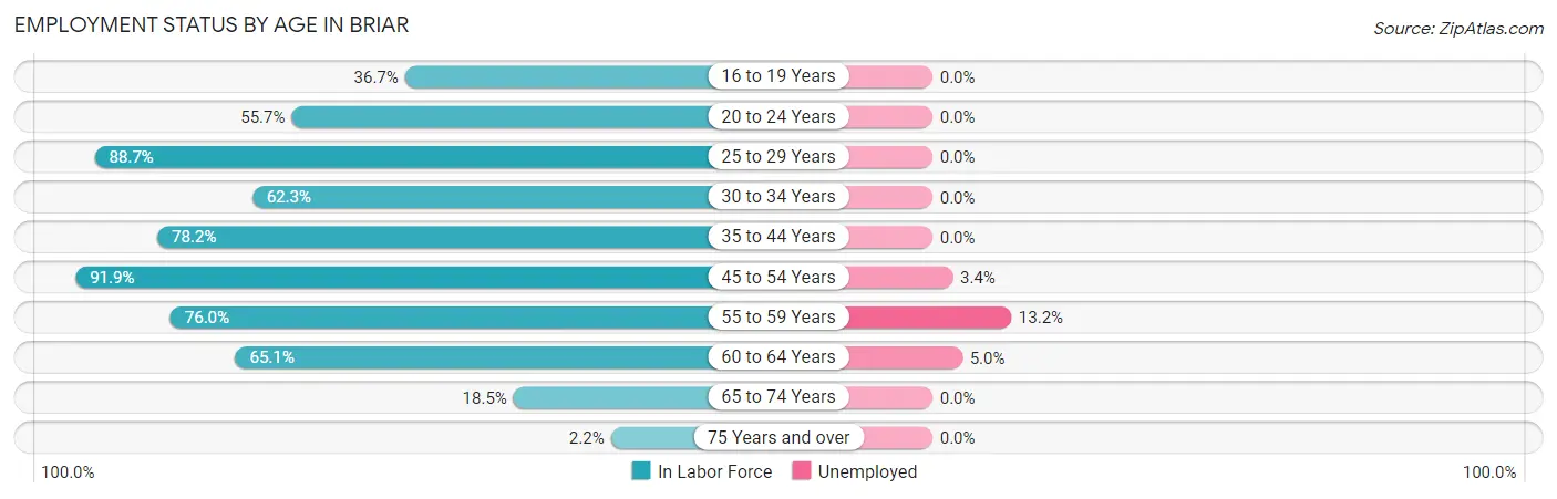 Employment Status by Age in Briar